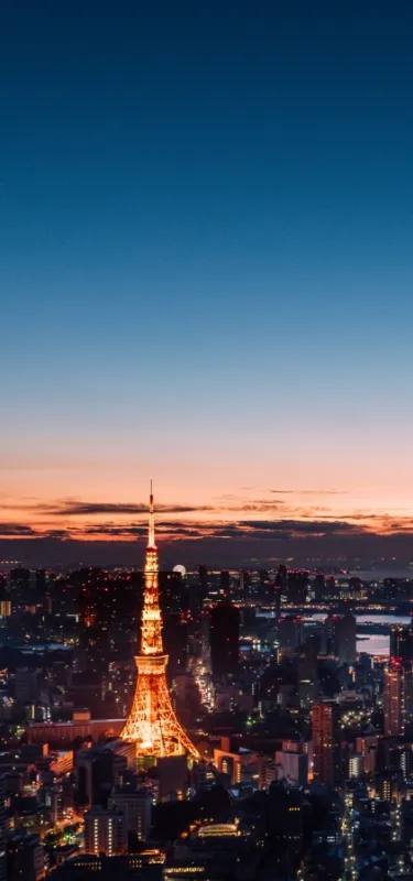MORI & PARTNERS Legal Strategy for Energy Markets